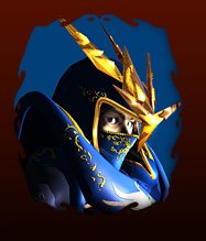 Dark Wizard / Soul Master